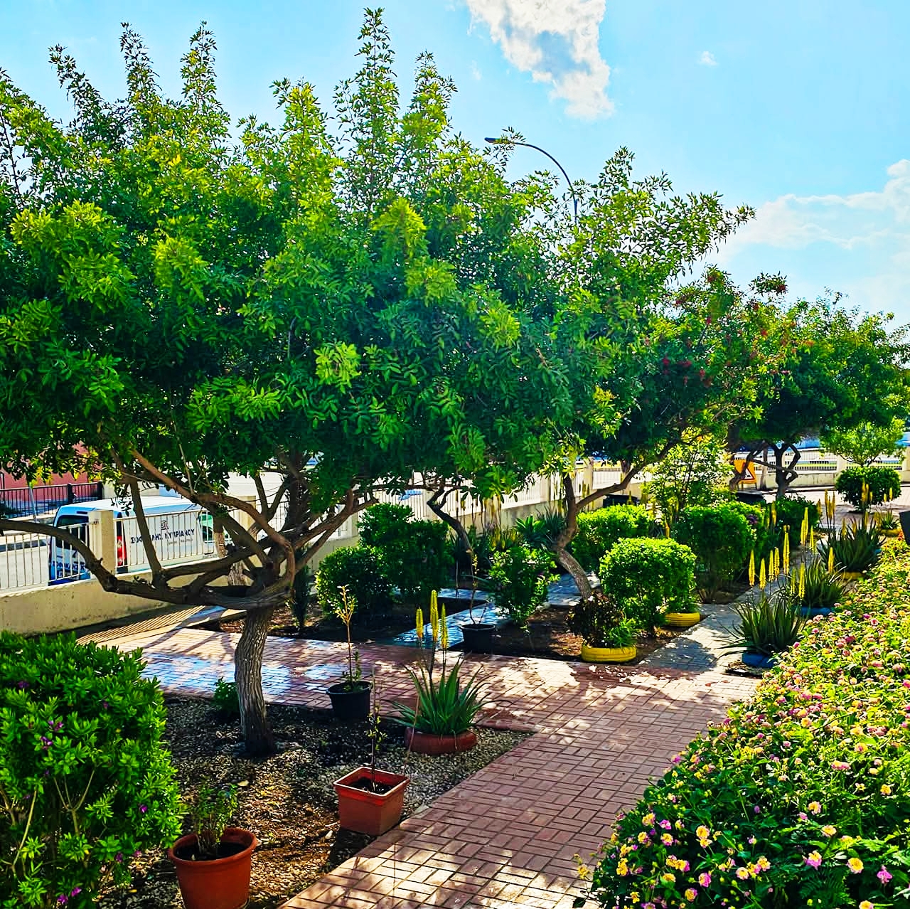 Στιγμές από τη σχολική μας ζωή